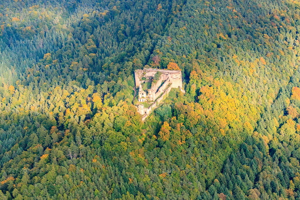 Luftbild: Burgruine Neuscharfeneck in Flemlingen im Bundesland Rheinland-Pfalz in Deutschland. Foto: IMG_60023.jpg vom 08.10.2013 durch Werner Riehm/FLY-FOTO.deAktuelles