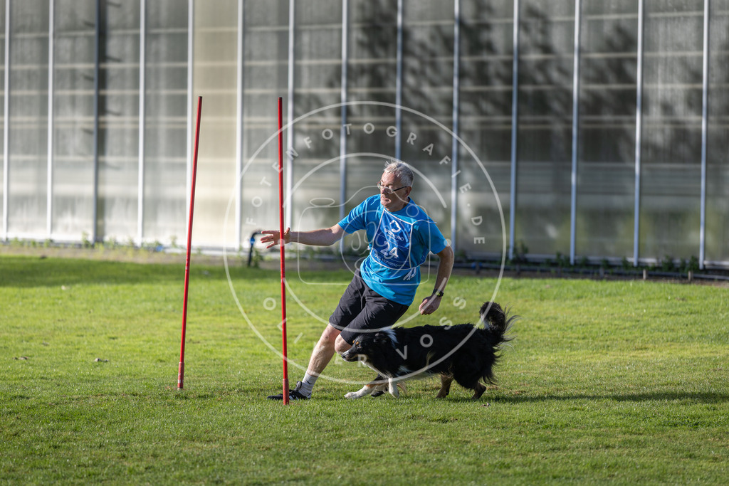 Pfotenfotografie.de_DV3A3293 | Hundefotografie, Tierfotograf, Pfotenfotografie, Fotoshooting Hund, Hunde Portrait, Hundesport, Hundeportraits, Heideshooting, Hunde, Sportfotograf, Hundefotograf, Turnierhundsport, THS, canicross - Realisiert mit Pictrs.com