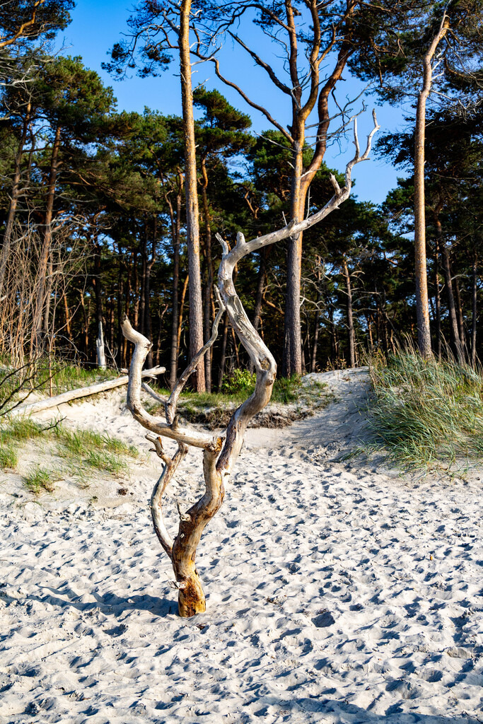 Ostsee (46) | hgt-foto
