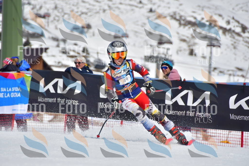 _DSC6964 | holidayphoto