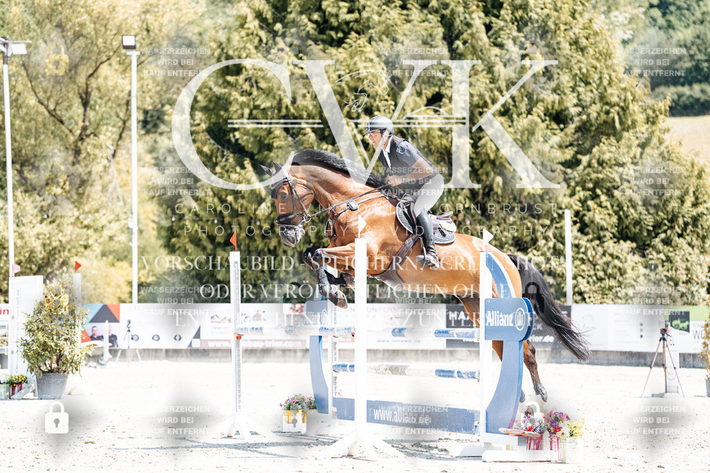 CK900658 | Turnierfotografie Pferdefotografie Trier Rheinland-Pfalz Pferdesport Reitsport Tierfotografie Sportfotografie Pferdevideo Pferdevideografie Equestrianvideography equestrianphotography  - Realisiert mit Pictrs.com