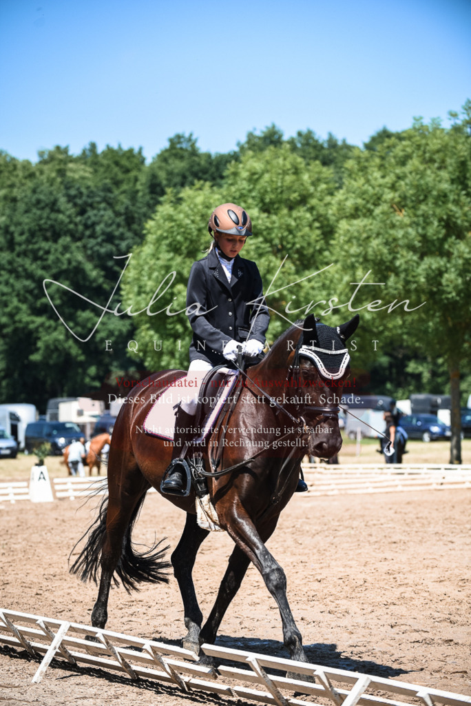 DSC_2824 | Pferde- und Turnierfotografie in Westsachsen. Pferdeportraits, Auftragszeichnungen und intuitive Kunst.