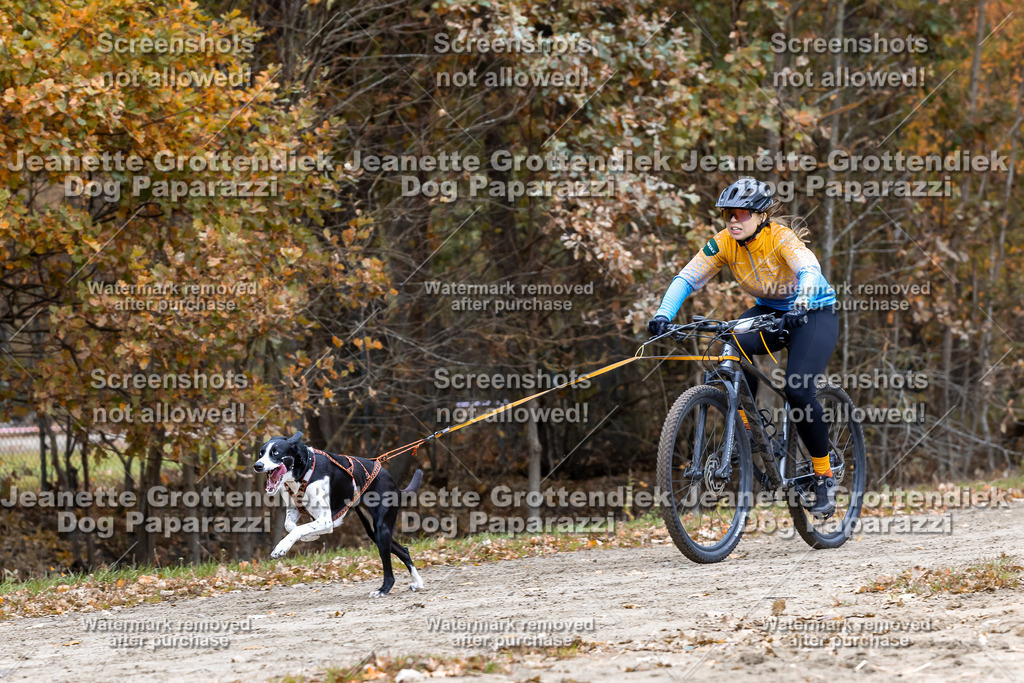 Dog Paparazzi - SD CaniX Championship 2025-578 | Dog Paparazzi Jeanette Grottendiek Fotografie & Videografie - Realisiert mit Pictrs.com