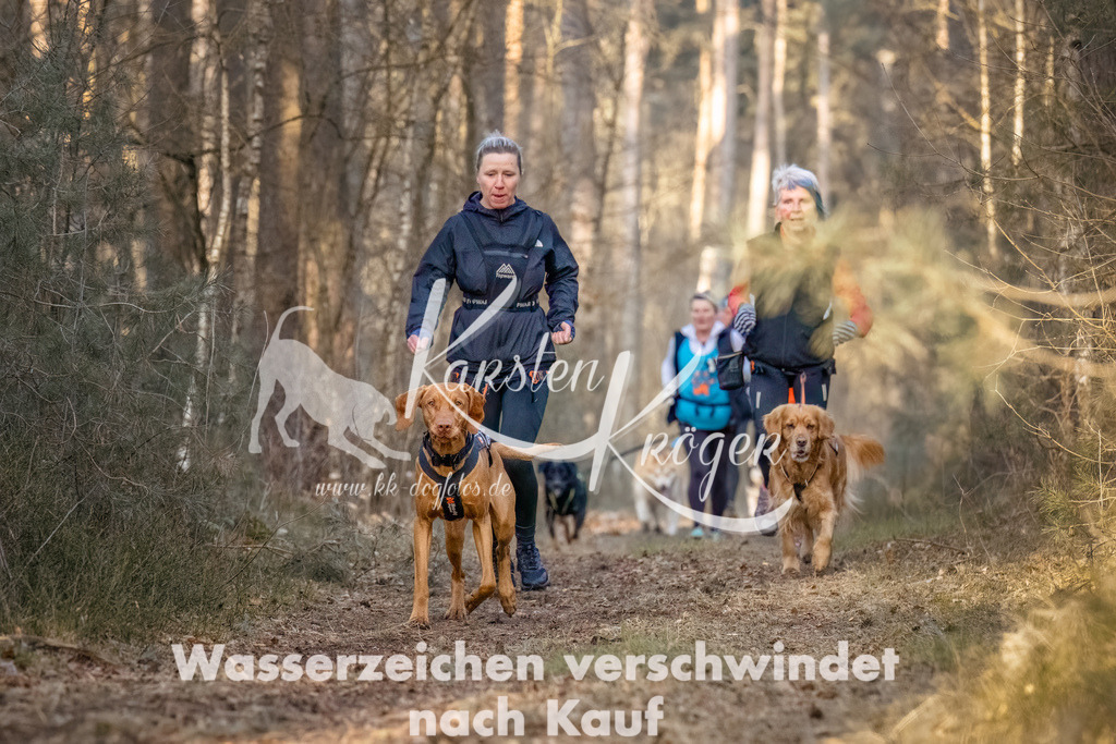 0815_ZZ99958-Bearbeitet | kk-dogfotos