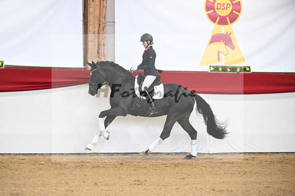 Boccacio_HLG Neustadt_2251382 | hf-fotografie - Realisiert mit Pictrs.com