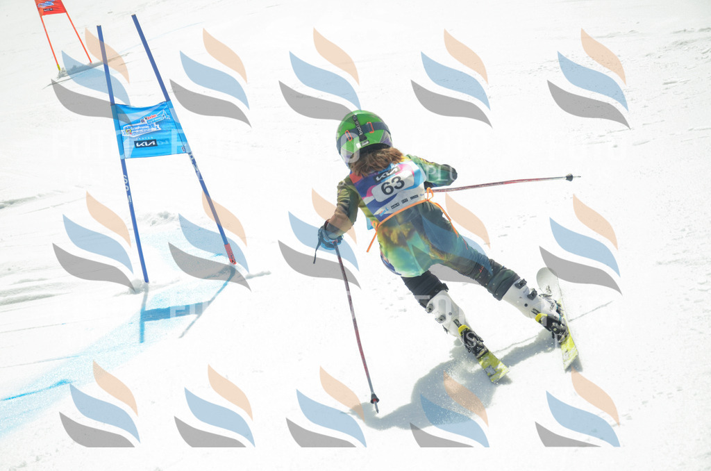 _ELE5351 | holidayphoto