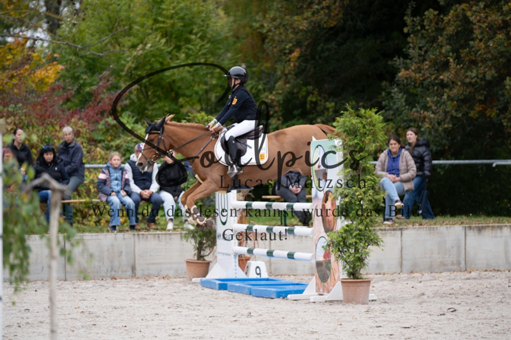 A7V00792 | Pferdefotograf