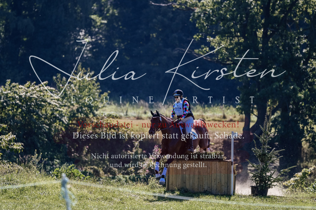 DSC_1538 | Pferde- und Turnierfotografie in Westsachsen. Pferdeportraits, Auftragszeichnungen und intuitive Kunst.