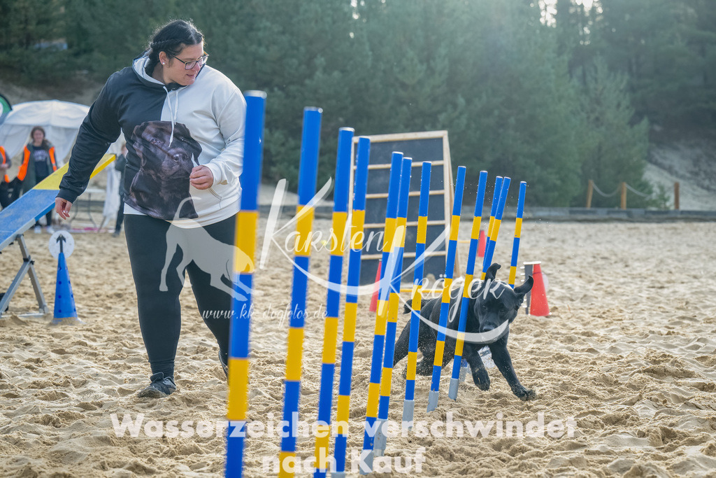 0905_ZZ91820-Bearbeitet | kk-dogfotos