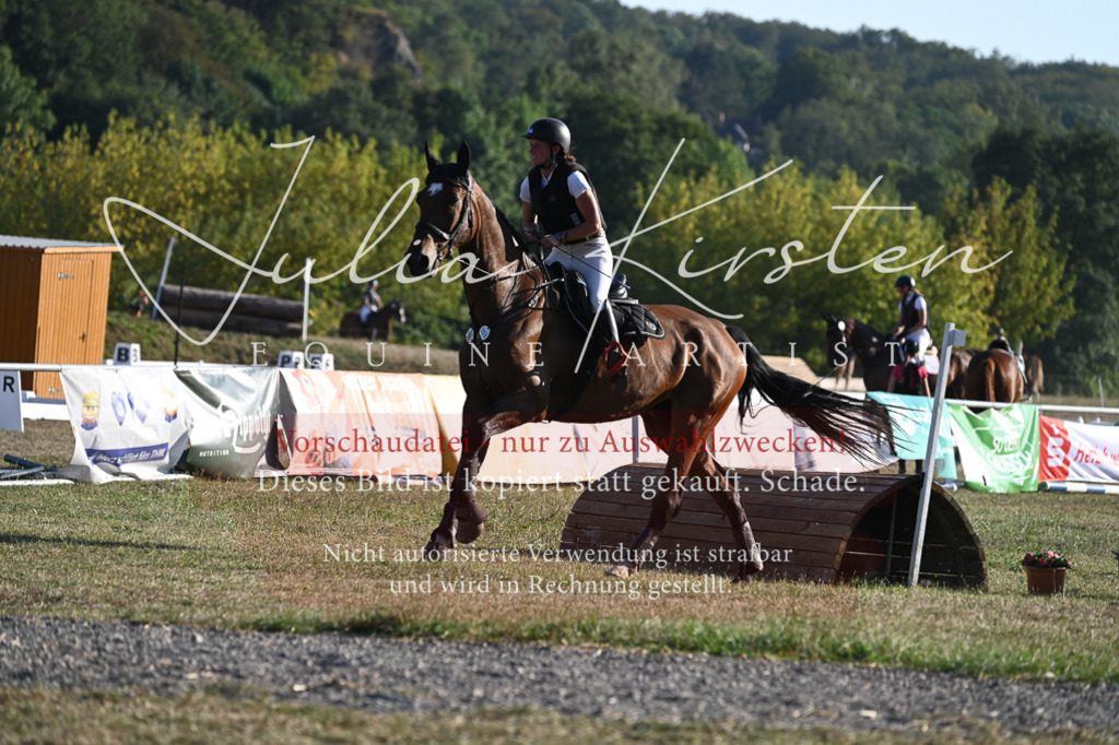 DSC_9030 | Pferde- und Turnierfotografie in Westsachsen. Pferdeportraits, Auftragszeichnungen und intuitive Kunst.