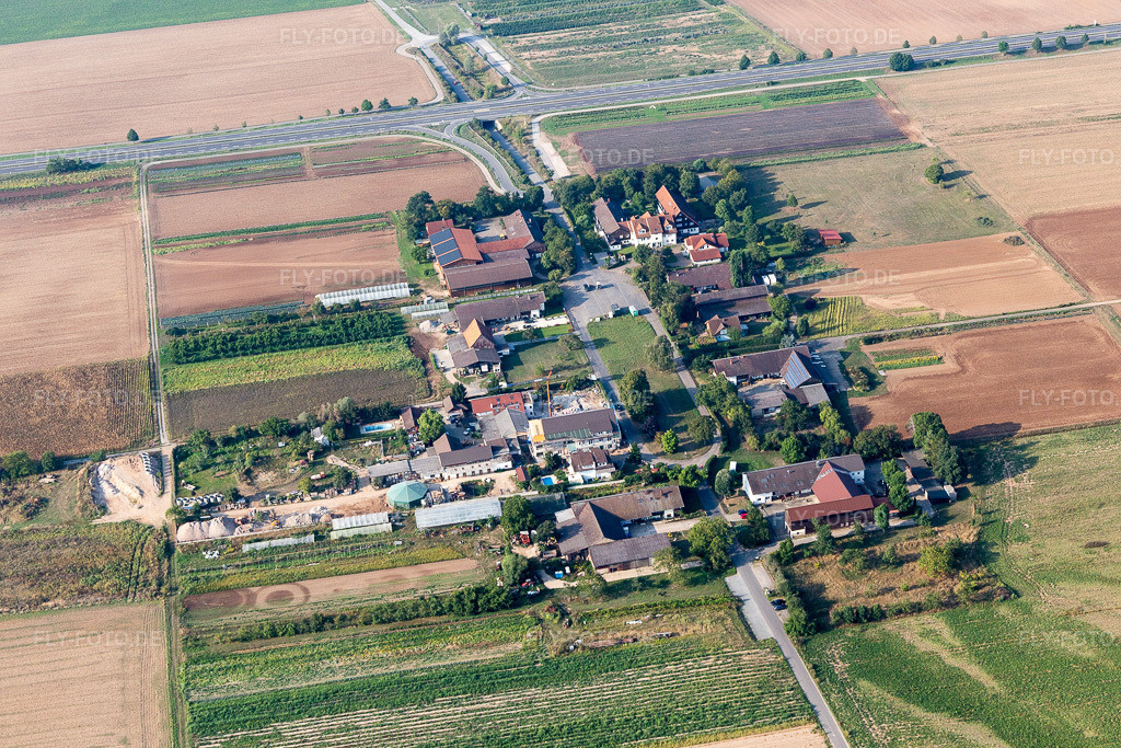 Luftbild: Gehöft und Bauernhof- Nebengebäude Kurpfalzhofm, Obsthof Gieser, Heidelberger Holzofenbäckerei, Mampel Hofladen und Erdbeeren Selbst Pflücken Hof im Ortsteil Patrick Henry Village in Heidelberg im Bundesland Baden-Württemberg in Deutschland. Foto: IMG_117228.jpg vom 25.08.2019 durch Werner Riehm/FLY-FOTO.de