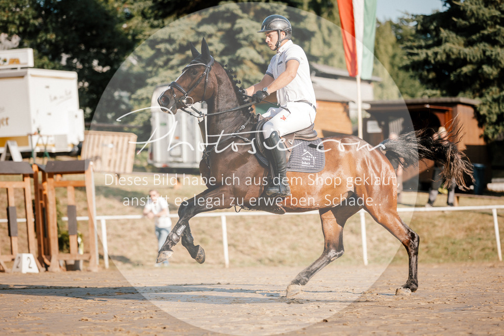 3I6A6048 | Stimmungsvolle Portraits und Reitsportfotografie im Ruhrgebiet und im Münsterland.

Pferdefotografie, Hundefotografie, Tierfotografie, Reportagen, Portraits von Tier und Mensch, Turnierfotografie in Bochum, Recklinghausen, Marl, Haltern am See, Dülmen.. - Realisiert mit Pictrs.com