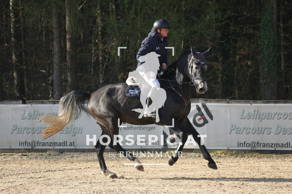 0P6A2400 | Willkommen bei Brunnmayr - Design & Fotografie – Ihrem Spezialisten für Reitturniere und Pferdeveranstaltungen in Oberösterreich, Salzburg und Bayern! Seit über 17 Jahren sind wir leidenschaftlich dabei.