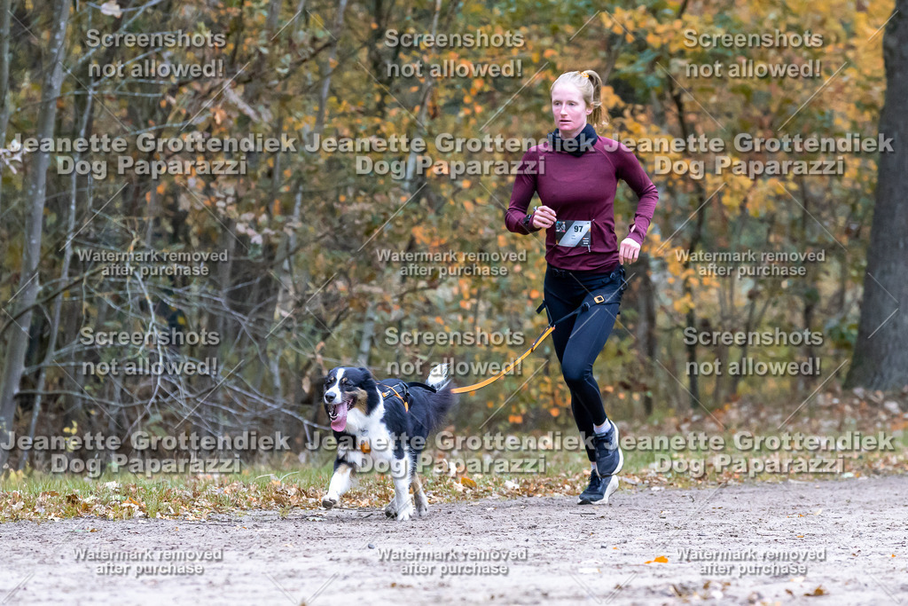 Dog Paparazzi - SD CaniX Championship 2025-385 | Dog Paparazzi Jeanette Grottendiek Fotografie & Videografie - Realisiert mit Pictrs.com