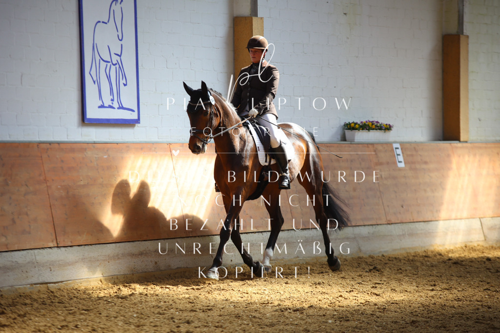 IMGT7200 | pl-fotografie