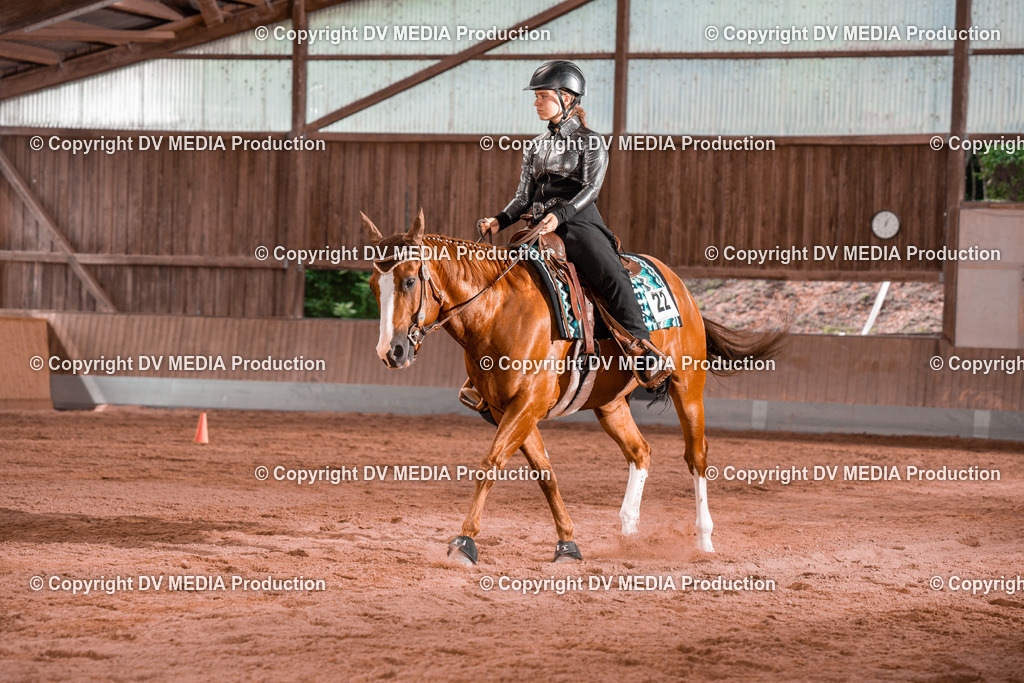 NE200382 | dv-media-shop - Realisiert mit Pictrs.com