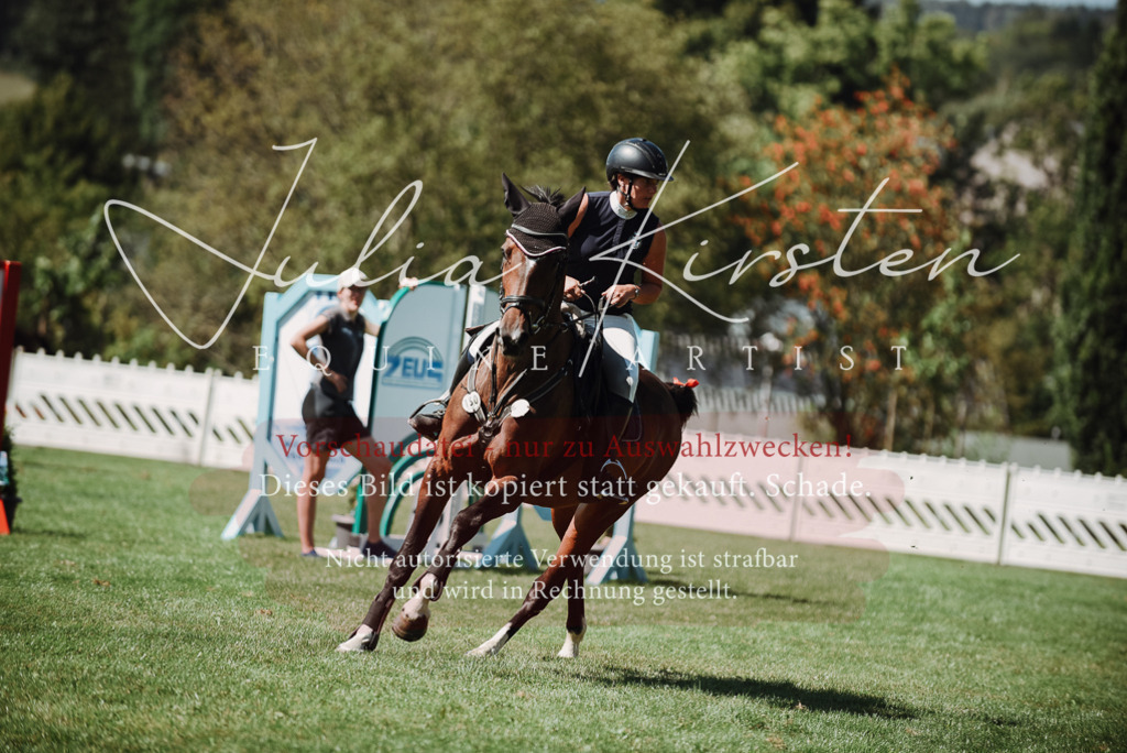 DSC_3208 | Pferde- und Turnierfotografie in Westsachsen. Pferdeportraits, Auftragszeichnungen und intuitive Kunst.