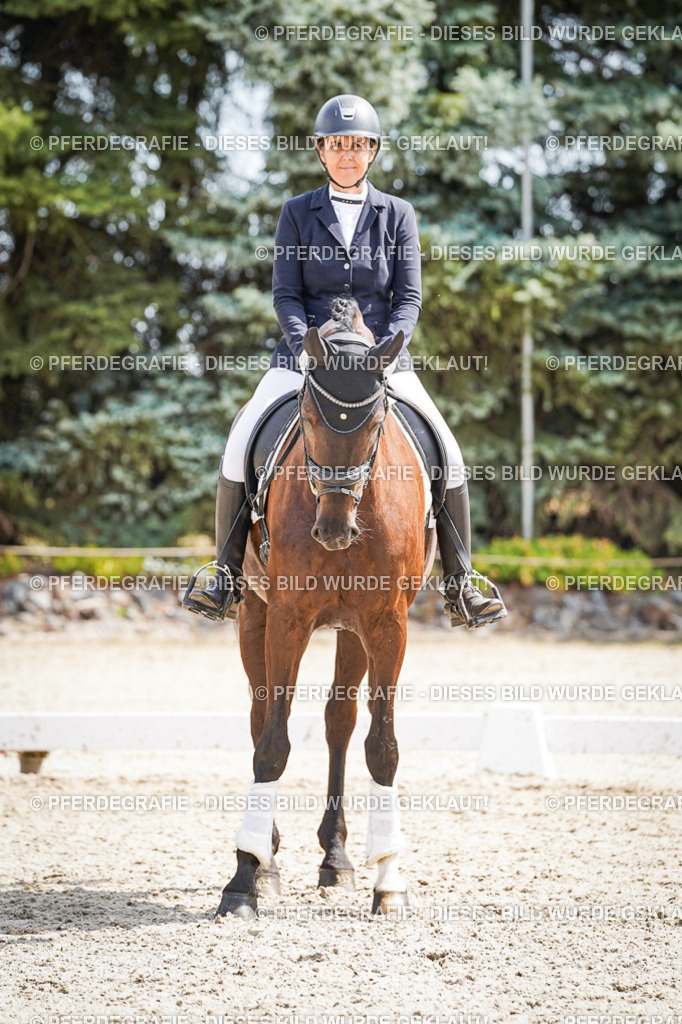 DSC02204 | Pferdegrafie