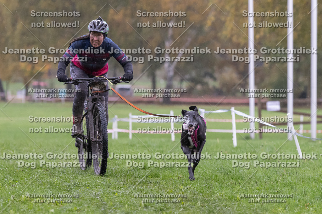 Dog Paparazzi - SD CaniX Championship 2025-934 | Dog Paparazzi Jeanette Grottendiek Fotografie & Videografie - Realisiert mit Pictrs.com