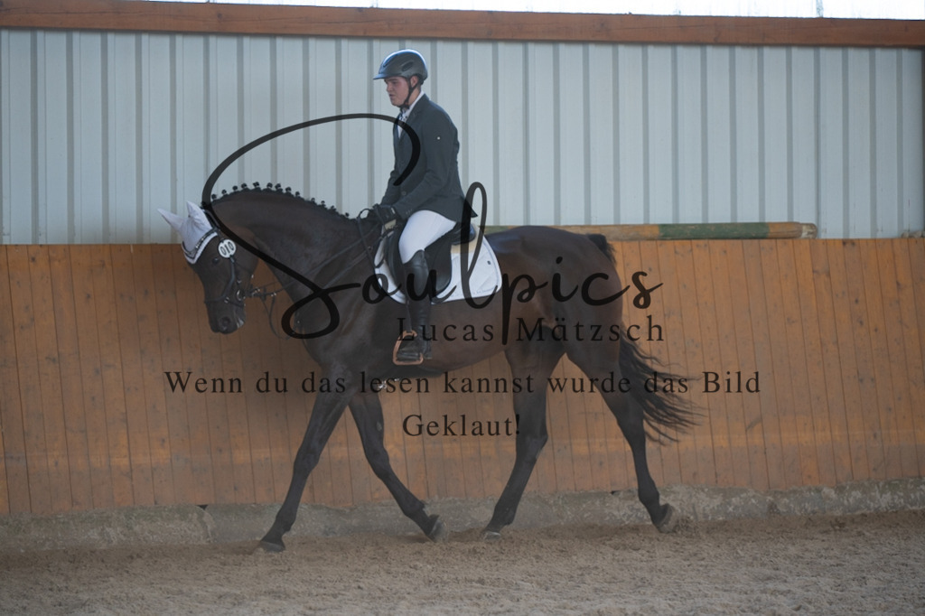 A7V02182 | Turnier/Reitfotograf
