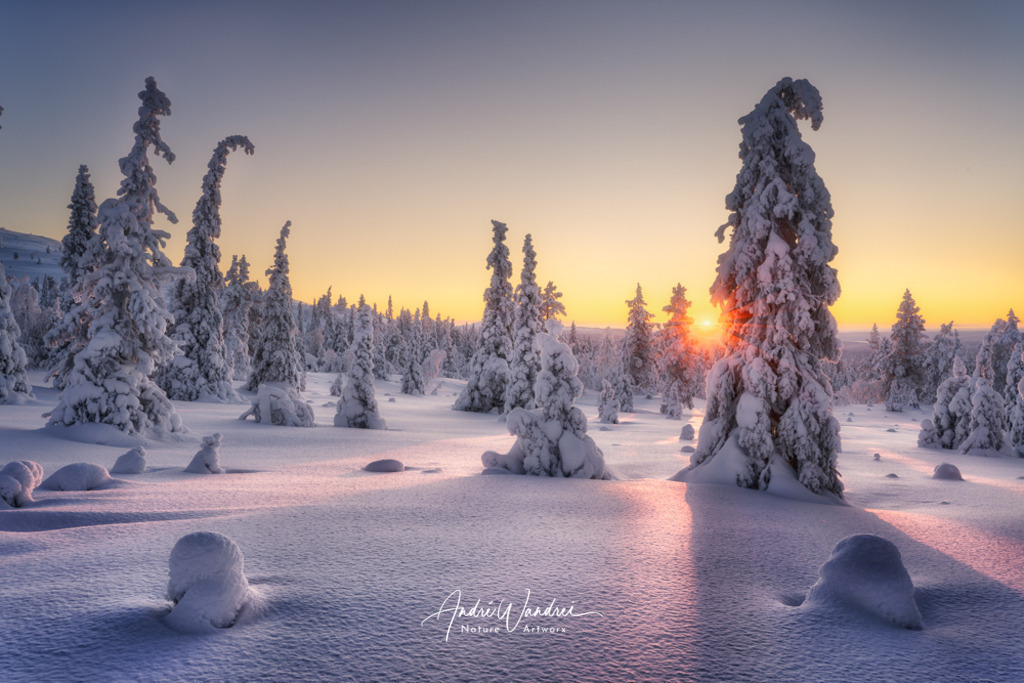 Schneelandschaft im Abendlicht | Andre Wandrei - Nature Artworx - Realisiert mit Pictrs.com