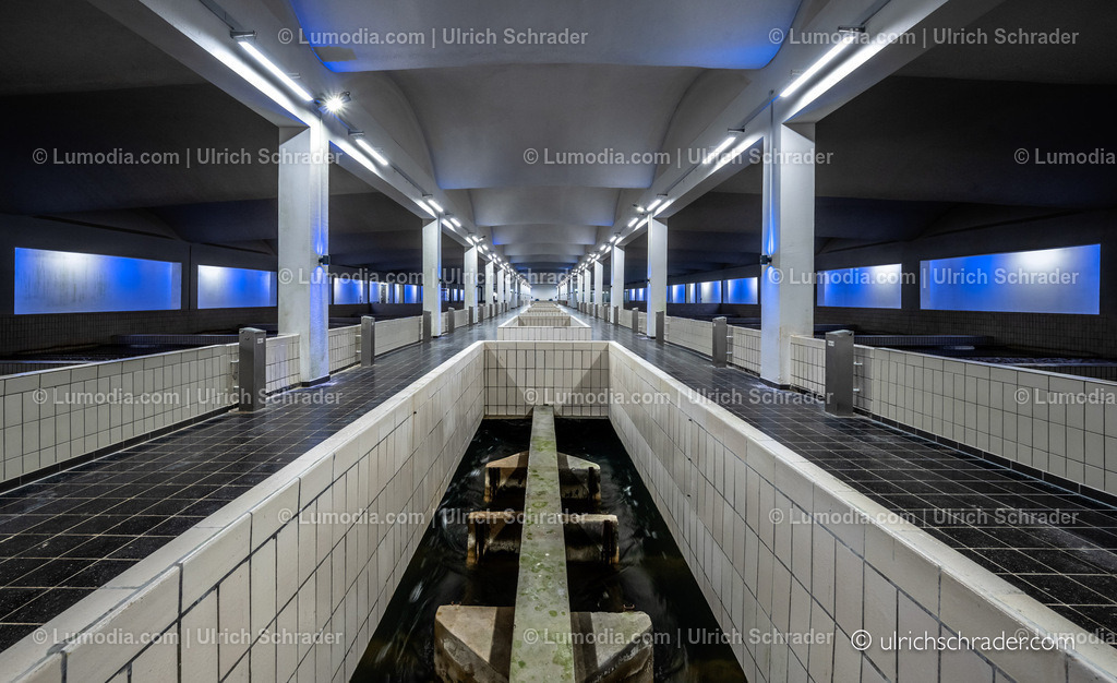 _ulrichschrader.com-217 | Stockfoto und Bilderpool mit Bildmaterial aus Deutschland, dem Harz, Halberstadt, Quedlinburg, Wernigerode und weltweit. Qualitativ hochwertige und professionelle Fotos anschauen und kaufen. - Realisiert mit Pictrs.com