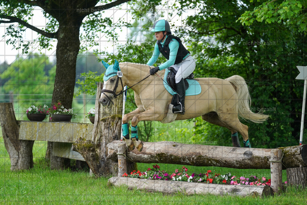 20240518-FAH03685 | Turnierbilder von Niederseon, Turnierfotografen Bayern, Fotoagentur Herrmann, Geländebilder, Reitsportfotografie