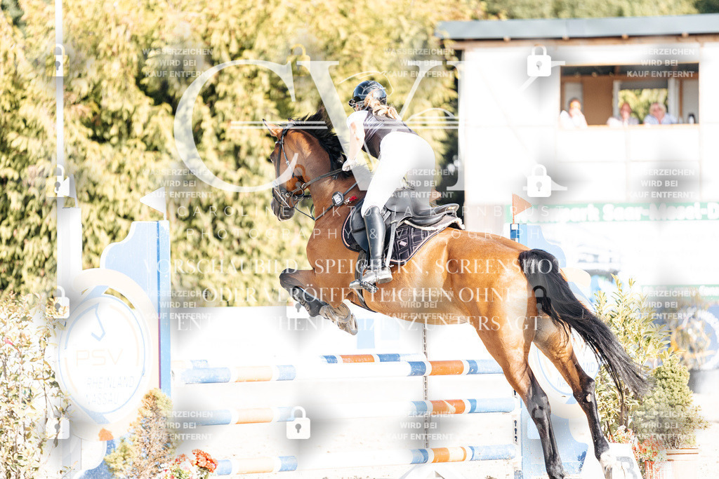CK909489 | Turnierfotografie Pferdefotografie Trier Rheinland-Pfalz Pferdesport Reitsport Tierfotografie Sportfotografie Pferdevideo Pferdevideografie Equestrianvideography equestrianphotography  - Realisiert mit Pictrs.com