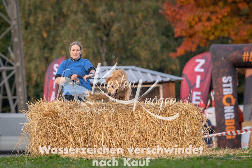 0905_ZZ92490 | kk-dogfotos