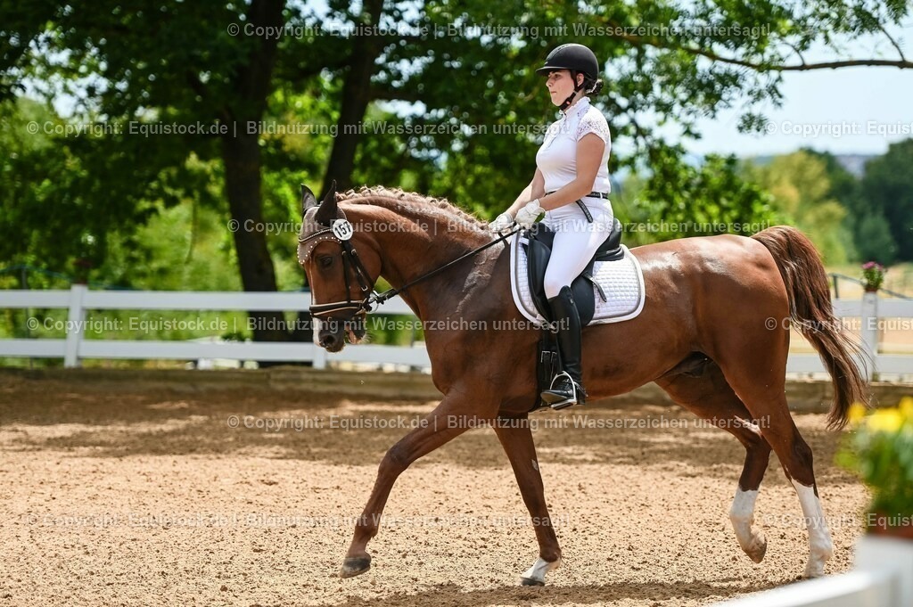 20230715_05_Dressurprüfung Kl.A++_0024 | equistock