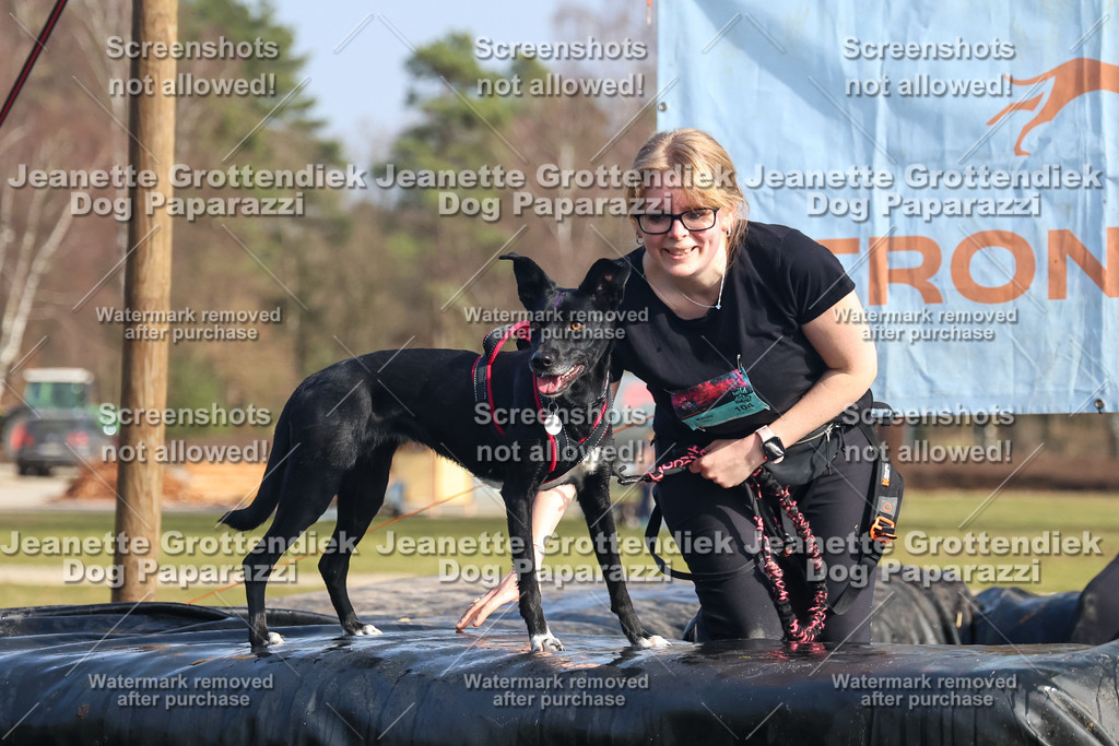 Dog Paparazzi - Strongdog North Mrz26-2420 | Dog Paparazzi Jeanette Grottendiek Fotografie & Videografie - Realisiert mit Pictrs.com