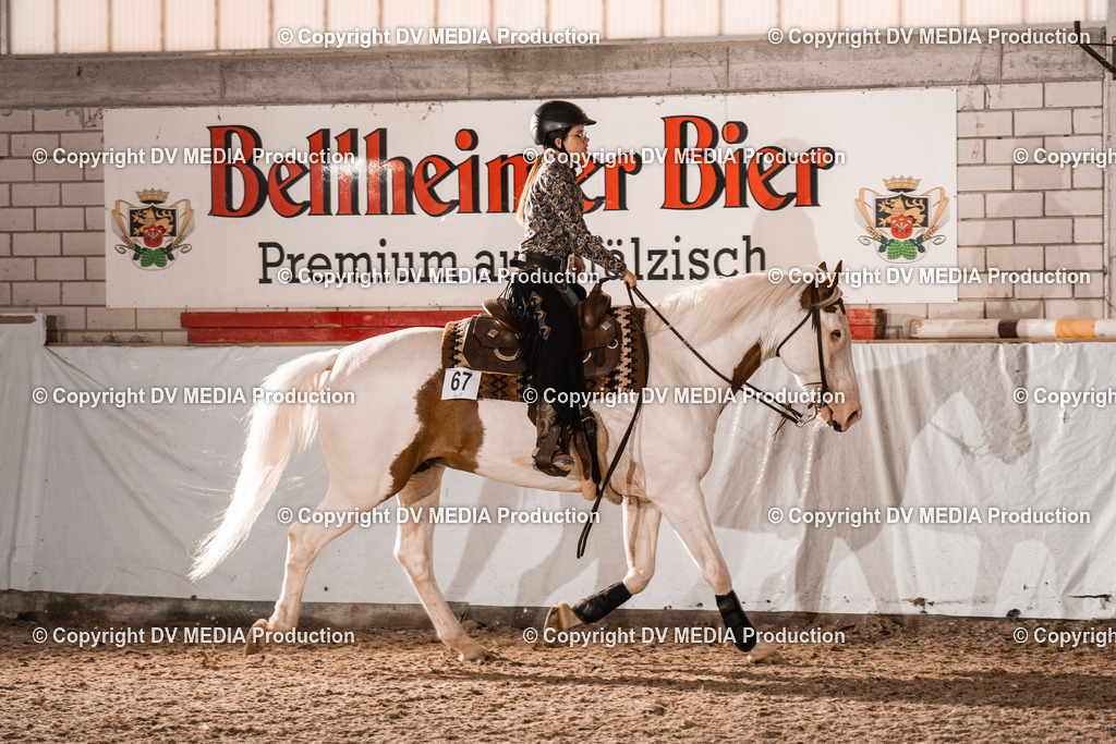 ZH200507 | dv-media-shop - Realisiert mit Pictrs.com