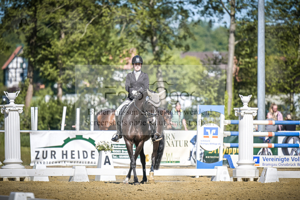 DOS_7210 | Entdecke hochwertige Reitturnierfotos von Foto Oger. Professionell, emotional und authentisch – jetzt Lieblingsmomente im Shop bestellen. - Realisiert mit Pictrs.com