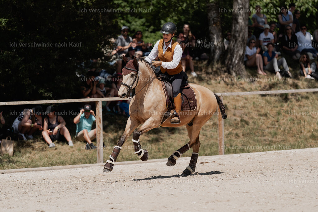 WE_SP_Stoib_334_PI2025_1812 | Pferd International München 2025