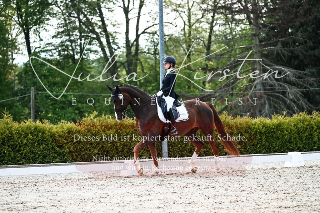 20230513_JK-Röhrsdorf-10-0474 | Pferde- und Turnierfotografie in Westsachsen. Pferdeportraits, Auftragszeichnungen und intuitive Kunst.