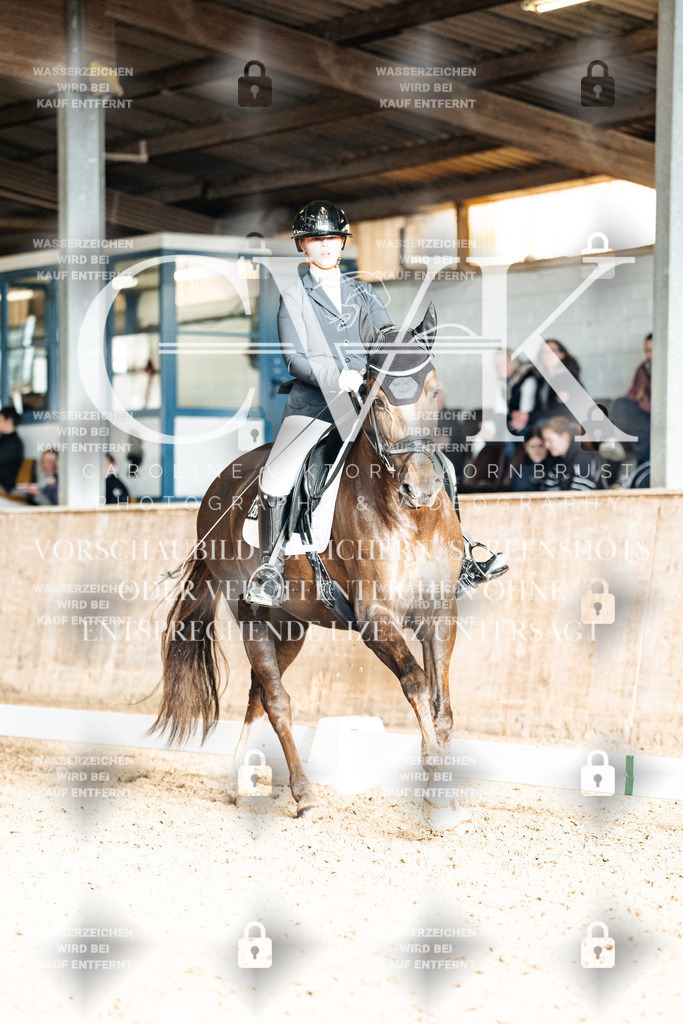 CK902746 | Turnierfotografie Pferdefotografie Trier Rheinland-Pfalz Pferdesport Reitsport Tierfotografie Sportfotografie Pferdevideo Pferdevideografie Equestrianvideography equestrianphotography  - Realisiert mit Pictrs.com