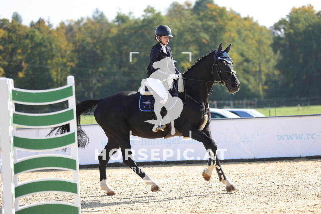 0P6A8026 | Willkommen bei Brunnmayr - Design & Fotografie – Ihrem Spezialisten für Reitturniere und Pferdeveranstaltungen in Oberösterreich, Salzburg und Bayern! Seit über 17 Jahren sind wir leidenschaftlich dabei.