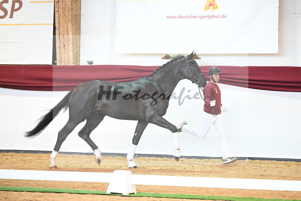 Kat-Nr. 22 v. Don Juan de Hus_Mueller_66220668 | hf-fotografie - Realisiert mit Pictrs.com