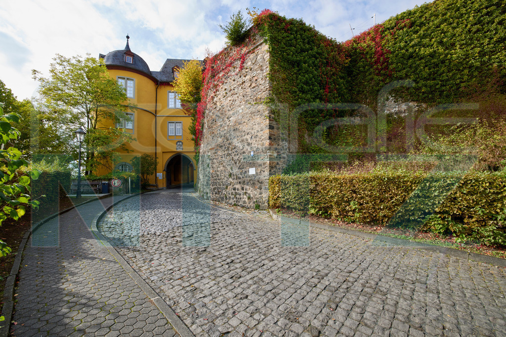 2022-10-12 14-26-33__5_12775 | Nitz Fotografie aus Montabaur bietet Ihnen hier die Möglichkeit Bilder auszusuchen und zu bestellen. 