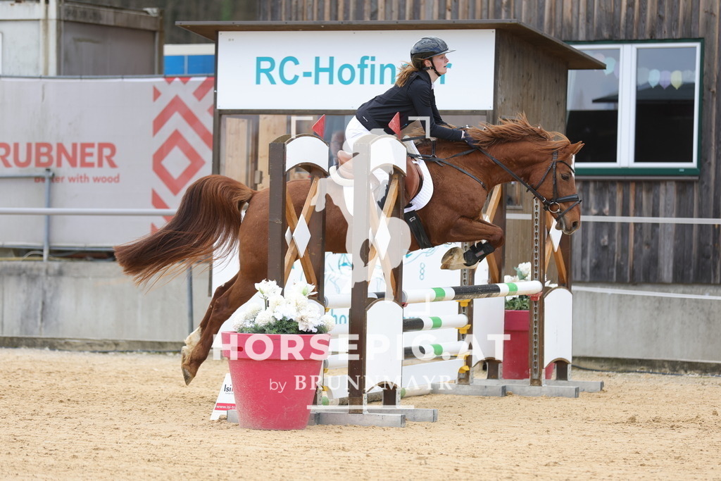 0P6A8092 | Willkommen bei Brunnmayr - Design & Fotografie – Ihrem Spezialisten für Reitturniere und Pferdeveranstaltungen in Oberösterreich, Salzburg und Bayern! Seit über 17 Jahren sind wir leidenschaftlich dabei.