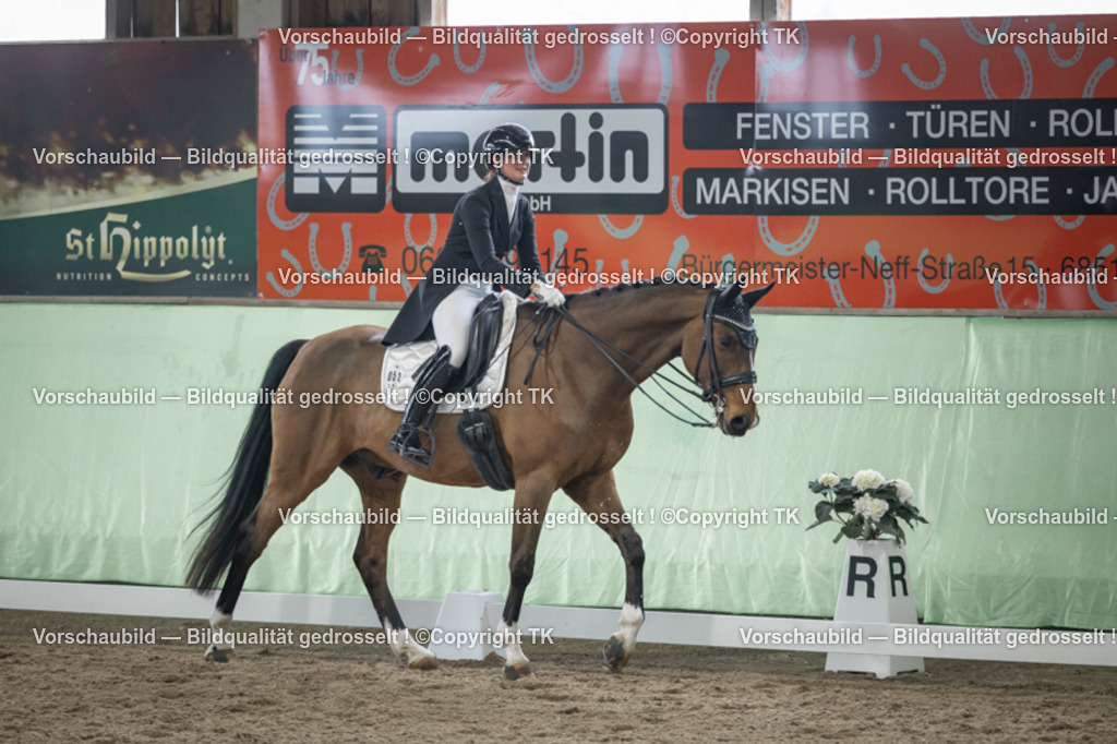 _D5A6258 | Emotionale Pferde- & People-Fotografie rund um Heidelberg, Leimen & Umgebung. Natürliche Fotos von Pferd, Mensch & Familie. Jetzt Termin sichern!