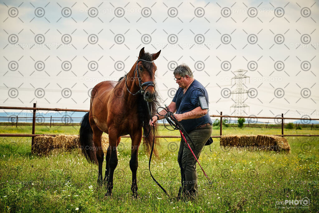 052_202406_Niki-Herodes_NZ9_9736 | proPHOTO - Realisiert mit Pictrs.com