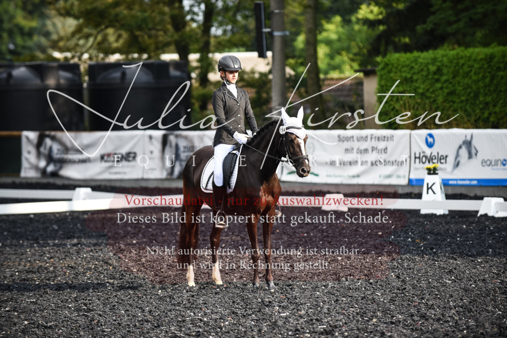 DSC_3381 | Pferde- und Turnierfotografie in Westsachsen. Pferdeportraits, Auftragszeichnungen und intuitive Kunst.