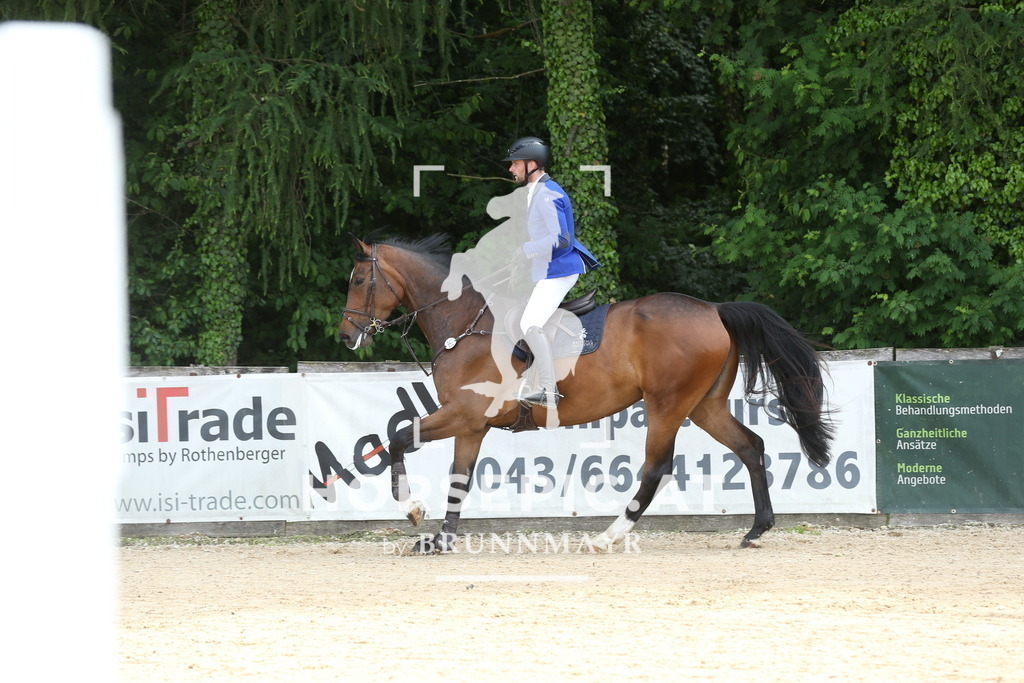 DL2Q6703 | Willkommen bei Brunnmayr - Design & Fotografie – Ihrem Spezialisten für Reitturniere und Pferdeveranstaltungen in Oberösterreich, Salzburg und Bayern! Seit über 17 Jahren sind wir leidenschaftlich dabei.
