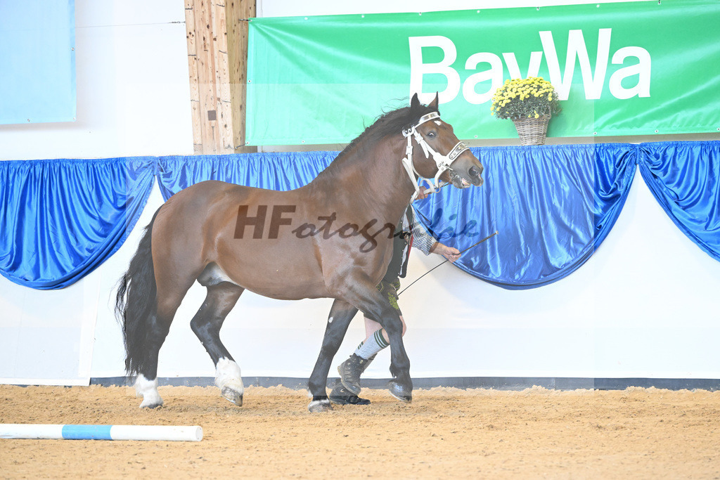 Kat-Nr. 95 Ratz Fatz_Linortner_53220582 | hf-fotografie - Realisiert mit Pictrs.com