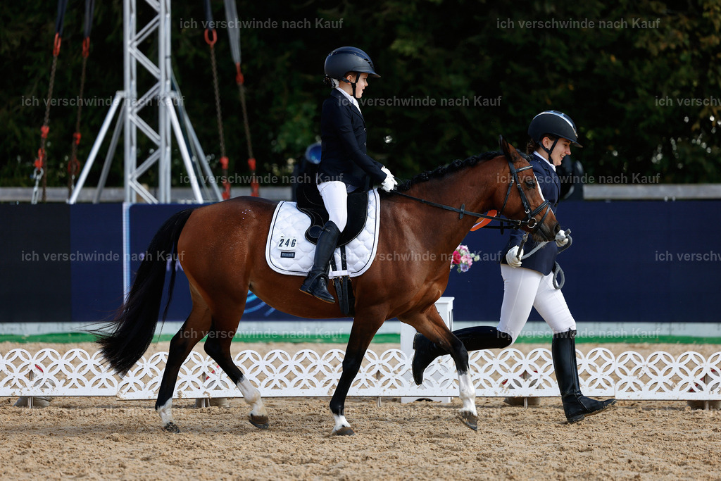 01--Ponyführzügel -StoibPH-6783 | working equitationturnier fotograf videograf stoibphotography marixx film working equitation deutschland reitsport turnierfotografie eventfotografie equestrian events
