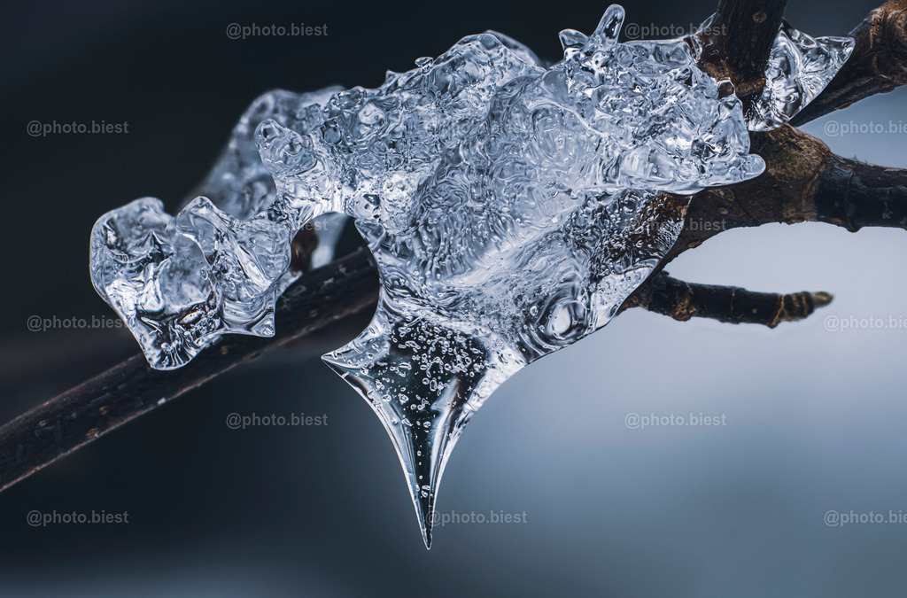 Eisdorn | Auf einem Zweig wächst ein Eisgebilde. - Realisiert mit Pictrs.com