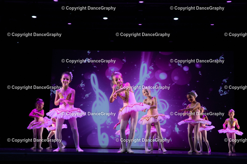 GPHY6108 | DanceGraphy - Realisiert mit Pictrs.com