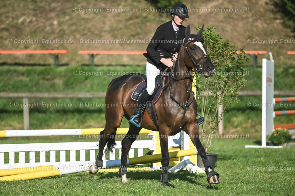 20230908_14-15_Springpferde-A_0042 | equistock