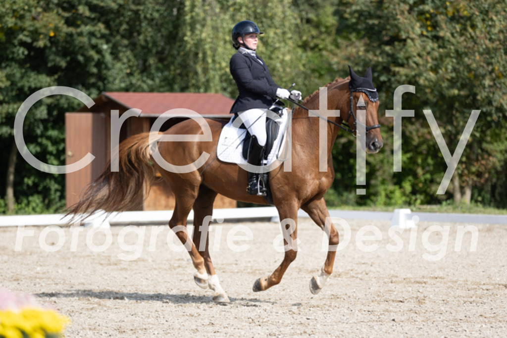 IMG_3316 | Creatify Fotografie